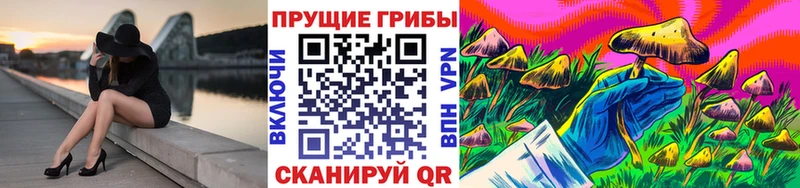 купить наркотик  Дальнереченск  Псилоцибиновые грибы Psilocybine cubensis 