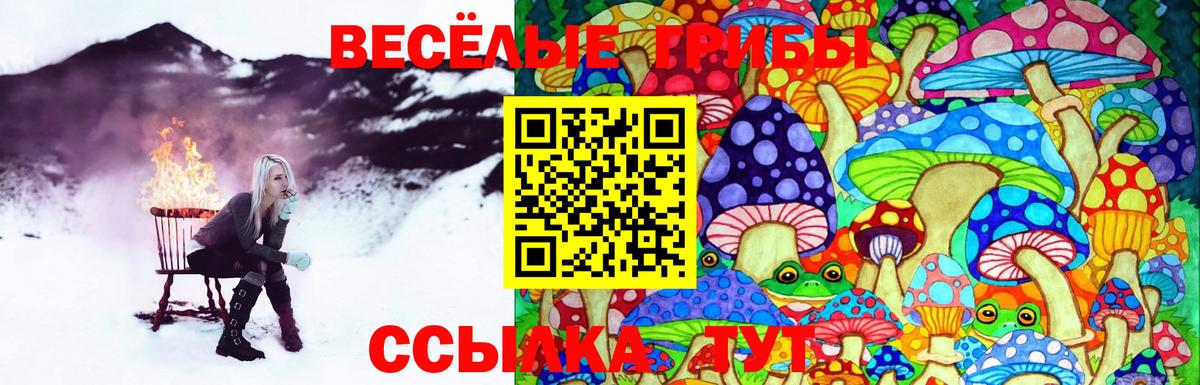 Псилоцибиновые грибы мицелий Дальнереченск