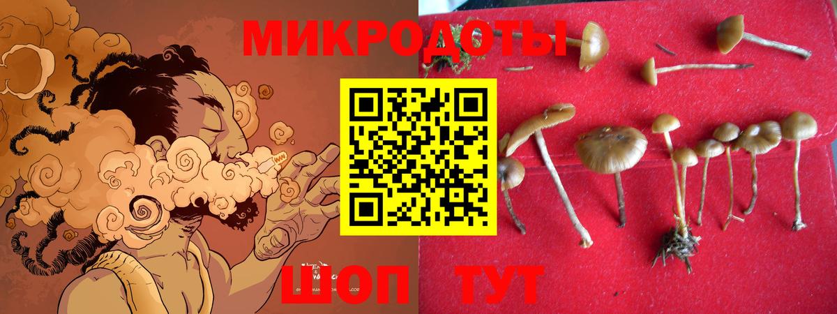 Дальнереченск  Псилоцибиновые грибы ЛСД  Вход с VPN  Галлюциногенные грибы мухоморы 